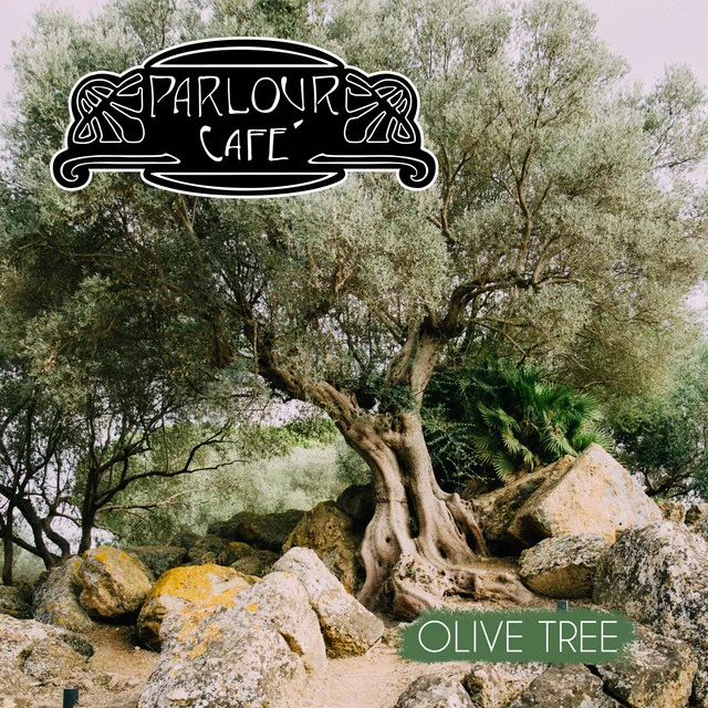 Olive tree