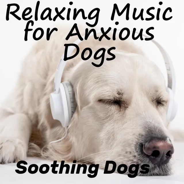 New Age Piano Music for Restless Dogs