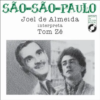 Joel de Almeida Interpreta Tom Zé: São - São - Paulo - Single by Joel de Almeida