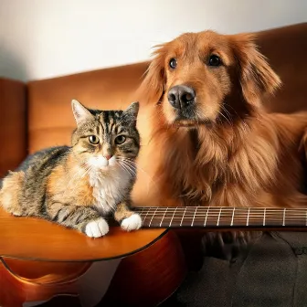 Calm Moments: Gentle Guitar for Pets by 