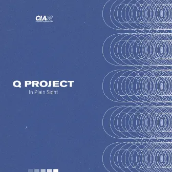 In Plain Sight EP by Q Project