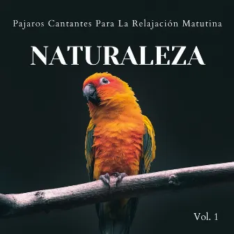 Naturaleza: Pajaros Cantantes Para La Relajación Matutina Vol. 1 by 