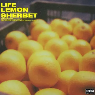 Lemon Sherbet by Life