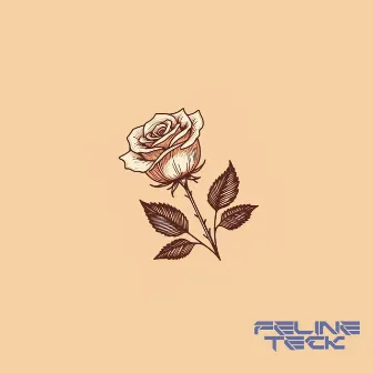 Rose by Feline Teck