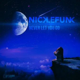 Never Let You Go by Nick Le Funk