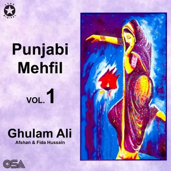 Punjabi Mehfil by Fida Hussain