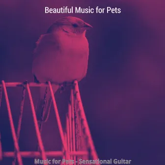 Music for Pets - Sensational Guitar by 