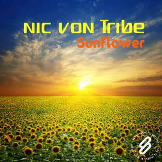 Sunflower by Nic Von Tribe