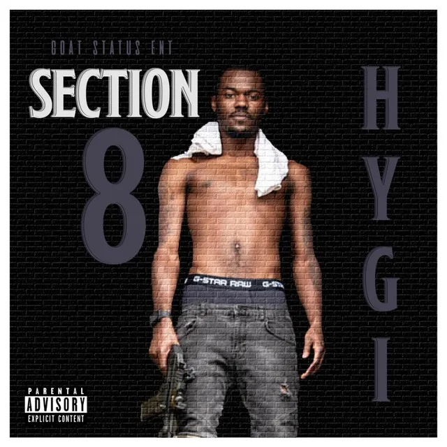 Section 8