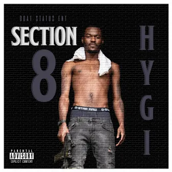 Section 8 by Hygi