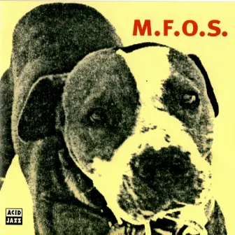 M.F.O.S. by Snowboy