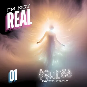 I'm Not Real #01: Birth Realm by 