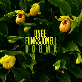 DOGMA by Unge Funksjonell