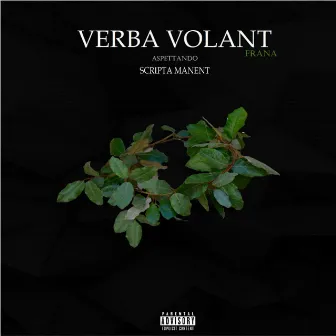 Verba Volant by Frana