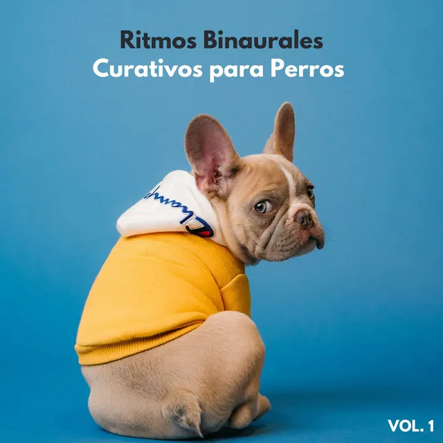 Ritmos Binaurales MT