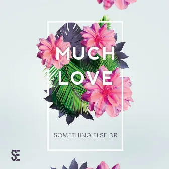 Much Love by Something Else DR