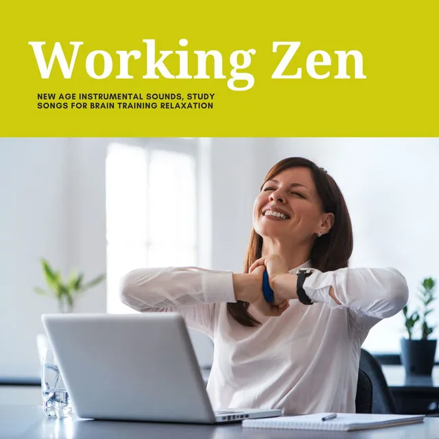 Working Zen: New Age Instrumental Sounds, Study Songs for Brain Training Relaxation