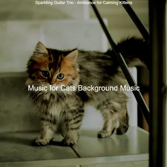 Sparkling Guitar Trio - Ambiance for Calming Kittens by Music for Cats Background Music