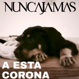 A Esta Corona by Nunca Jamas