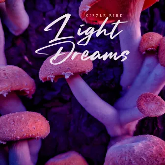 Light Dreams by Nordic Home