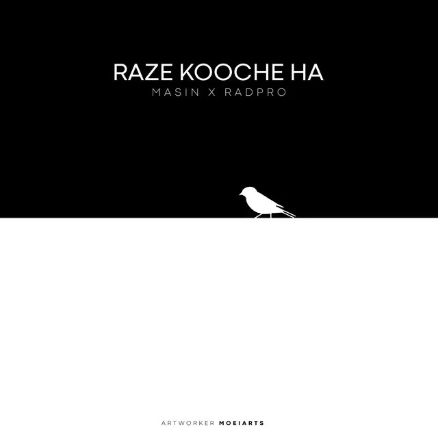 RAZE KOOCHE HA