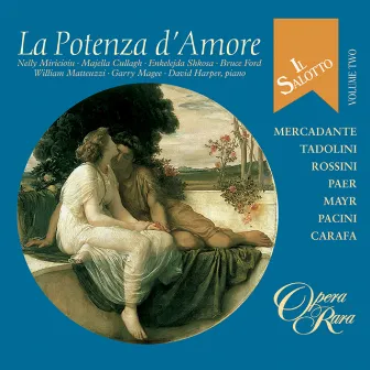 Il salotto Vol. 2: La potenza d'amore by David Harper