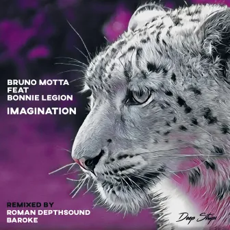 Imagination by Bonnie Legion