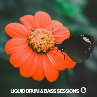 Liquid Drum & Bass Sessions 2019 Vol 5 by Dreazz