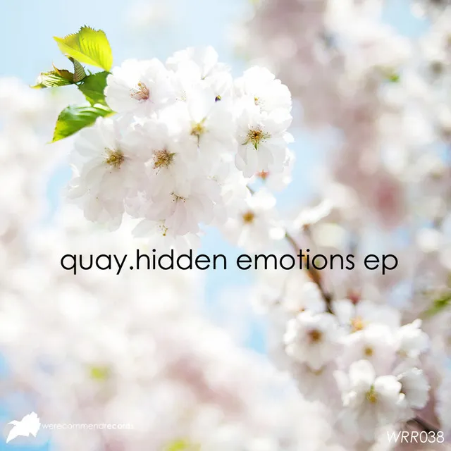 Hidden Emotions EP