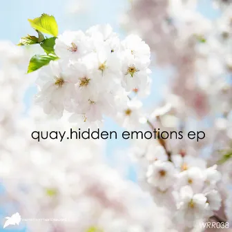 Hidden Emotions EP by Quay