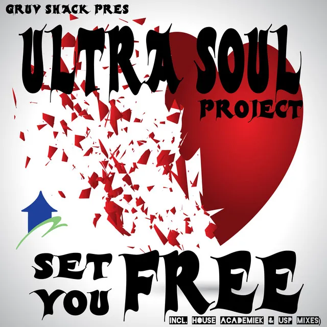 Set You Free - House Academiek Instrumental Mix