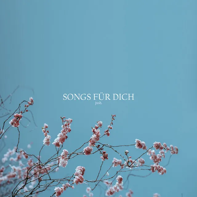 Songs für dich