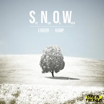 SNOW by Lyrical problem