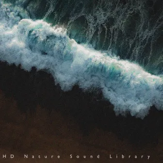 In The Ocean by HD Nature Sound Library