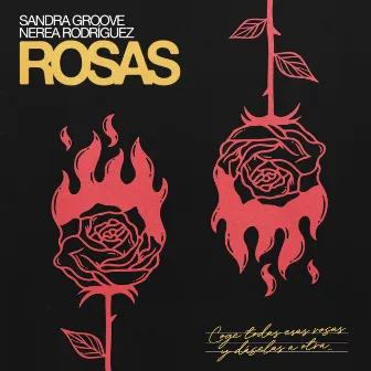 Rosas by Sandra Groove