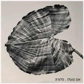 אם ננעלו by Flora