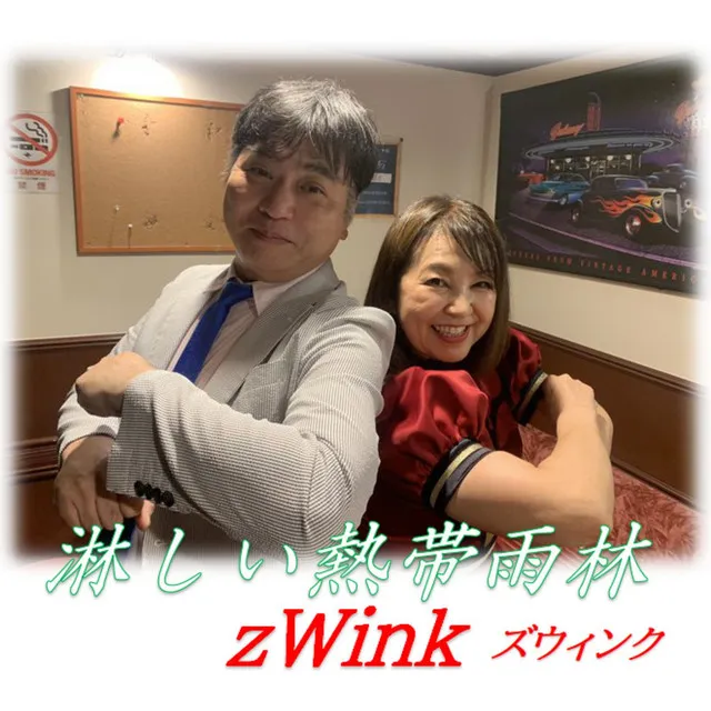 zWink