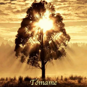 Tómame by Promesa