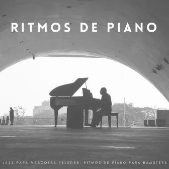 Jazz Para Mascotas Peludas: Ritmos De Piano Para Hamsters by Musica Jazz Instrumental