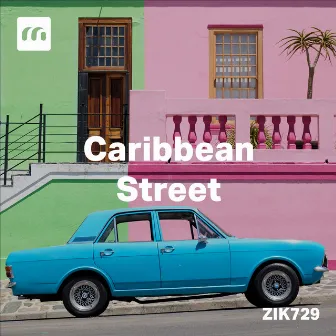 Caribbean Street by Mickael Patrac