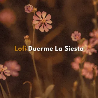 Lofi: Duerme La Siesta by Música para dormir y relajarse