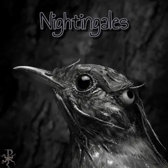 Nightingales E.P by Pnakotic Phantasm