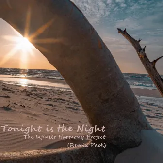 Tonight Is the Night (Remix Pack) by The Infinite Harmony Project