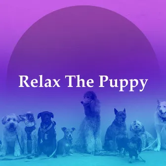 Relax The Puppy by Relax My Puppy