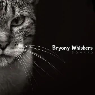 Bryony Whiskers by Conrad