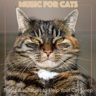 Music for Cats: Tranquil Lullabies to Help Your Cat Sleep by Cat Music Therapy