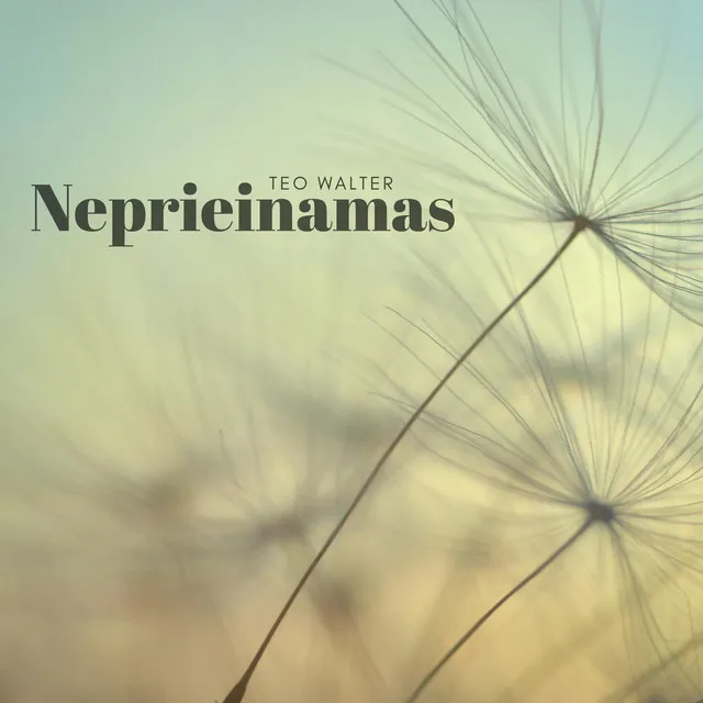 Neprieinamas