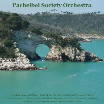 Pachelbel: Canon in D Major / Bach: Air On The G String & The Well -Tempered Clavier / Vivaldi: Concertos / Albinoni: Adagio in G Minor / Beethoven: Fur Elise / Mozart: Turkish March / Wedding March / Paradisi: Toccata / Walter Rinaldi: Works by Pachelbel Society Orchestra