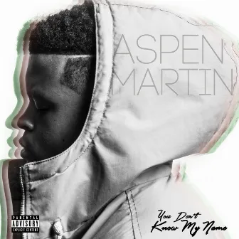 You Don't Know My Name by Aspen Martin