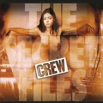 The Secret Files by Crew